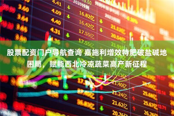 股票配资门户导航查询 嘉施利增效特肥破盐碱地困局，赋能西北冷凉蔬菜高产新征程