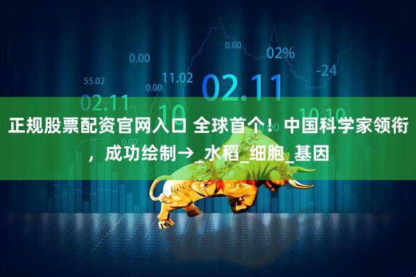 正规股票配资官网入口 全球首个！中国科学家领衔，成功绘制→_水稻_细胞_基因
